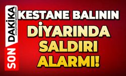 Kestane balının diyarında saldırı alarmı!