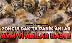 Zonguldak’ta panik anlar:  AVM’yi arı bastı!