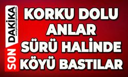 Korku dolu anlar: Sürü halinde köyü bastılar