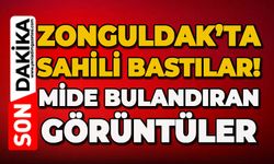 Zonguldak sahilini bastılar: Mide bulandıran görüntüler