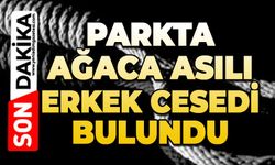 Parkta ağaca asılı erkek cesedi bulundu