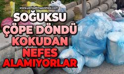 Terakki Mahallesi'nde çöp isyanı: Kokudan nefes alamıyorlar
