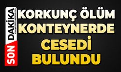 Yalnız yaşadığı konteynerde ölü bulundu