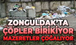 'Zonguldak'ta çöpler birikiyor, mazeretler çoğalıyor'