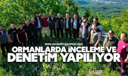 Ormanlarda İnceleme ve Denetim yapılıyor