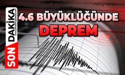 4.6 büyüklüğünde deprem