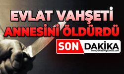 16 yaşındaki kız annesini öldürdü