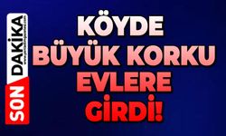 Köyde büyük korku: Evlere girdi!
