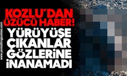 Kozlu’dan üzücü haber! Yürüyüşe çıkanlar gözlerine inanamadı