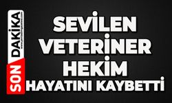 Veteriner hekim hayatını kaybetti