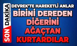 Devrek’te hareketli anlar: Birini dereden diğerini ağaçtan kurtardılar