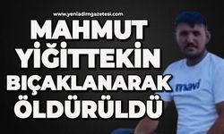 Mahmut Yiğittekin bıçaklanarak öldürüldü