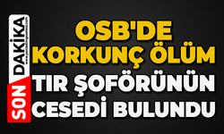 OSB'de korkunç ölüm: Tır şoförü ölü bulundu