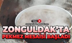 Zonguldak ta pekmez mesaisi başladı