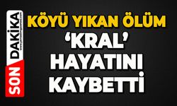 Köyü yıkan ölüm: 'Kral' hayatını kaybetti