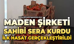 Maden şirketi sahibi sera kurdu: İlk hasat gerçekleştirildi