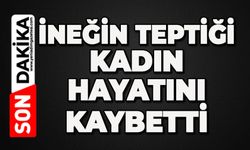 İneğin teptiği kadın hayatını kaybetti