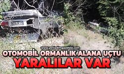Otomobil ormanlık alana uçtu: Yaralılar var