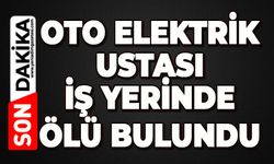 Oto elektrik ustası iş yerinde ölü bulundu