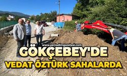 Gökçebey'de Vedat Öztürk sahalarda