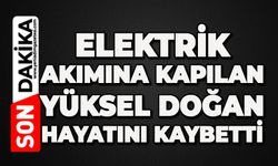 Elektrik akımın kapılan Yüksel Doğan hayatını kaybetti