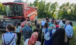 İlk kez yetişen siyez buğdayının hasadı yapıldı
