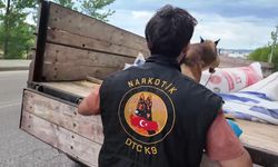 Emniyetten Taşköprü'de denetim: 414 şahsın GBT'si sorgulandı