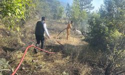 Anız yangını ormanlık alana sıçramadan söndürüldü
