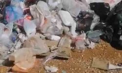Balık tutmak için gittiği gölde çöp yığınıyla karşılaştı: Poşet poşet topladı