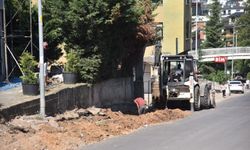 Cumhuriyet Caddesi yeni yüzüne kavuşuyor