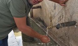 Duyarlı vatandaş, hayvanların su içtiği yosunlu çeşmeyi temizledi
