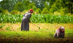 Tarım ve hayvancılığa 7 yılda 1,5 milyar lirayı aşkın destek sağlandı