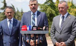 'Türkiye'de sahipsiz sokak hayvanlarının yüzde 92,35'i artık barınaklarda'