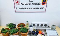 Uyuşturucu operasyonu: Skunk serası ortaya çıkarıldı