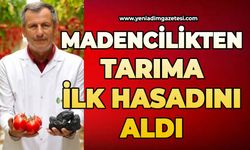 Madencilikten tarıma: İlk hasadını aldı
