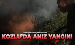 Kozlu'da anız yangını
