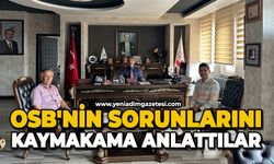 OSB'nin sorunlarını Kaymakama anlattılar