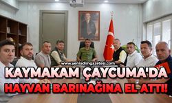 Kaymakam Çaycuma'da, hayvan barınağına el attı!