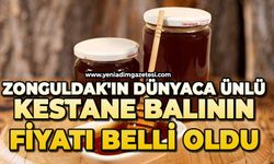 Zonguldak'ın dünyaca ünlü kestane balının fiyatı belli oldu