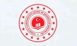 Agusto Deresi yukarı havza sel ve erozyon kontrol uygulama projesi hizmet alım işi