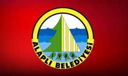 Alaplı Belediyesi sokak hayvanlarının rehabilitasyonu hizmet alımı işi
