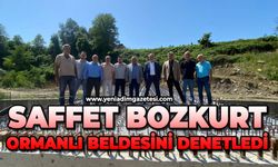 Saffet Bozkurt, Ormanlı beldesini denetledi
