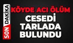 Köyde acı ölüm: Cansız bedeni tarlada bulundu