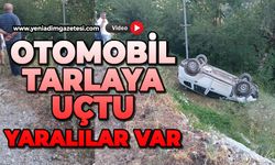 Otomobil tarlaya uçtu: Yaralılar var