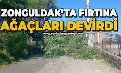 Zonguldak'ta fırtına ağaçları devirdi