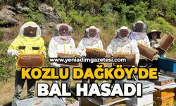 Kozlu Dağköy'de bal hasadı