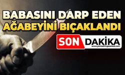 Babasını darp eden ağabeyini bıçaklandı