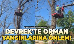 Devrek'te orman yangınlarına önlem!