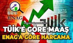 TÜİK'e göre maaş, ENAG'a göre harcama