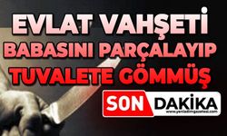 Evlat vahşeti: Babasını parçalayıp tuvalete gömmüş